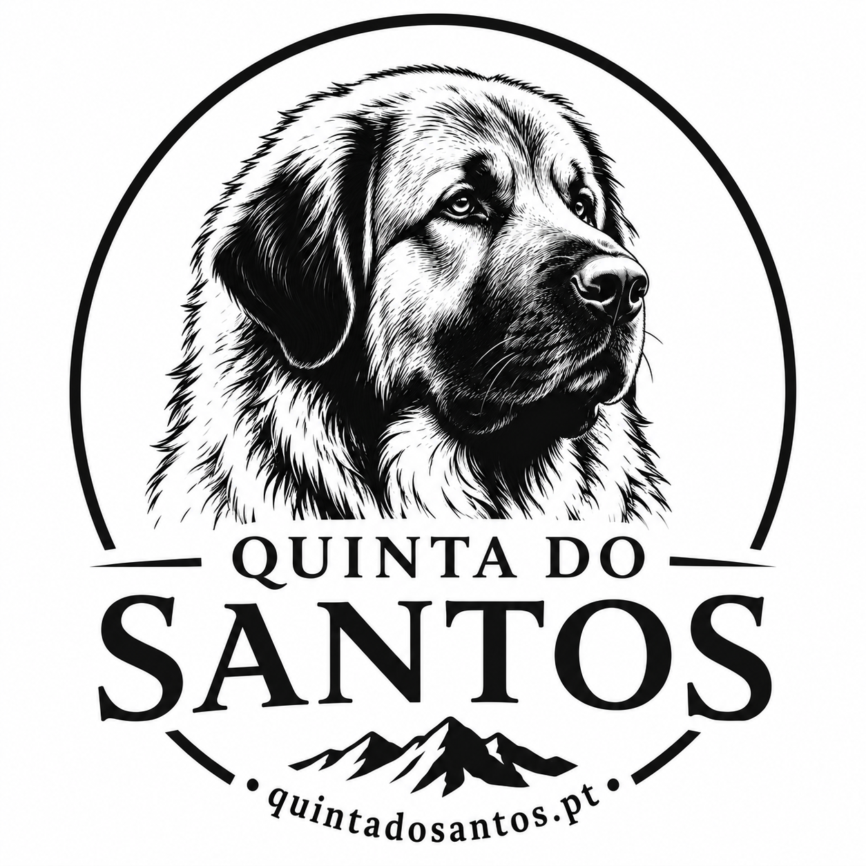 Logótipo Quinta do Santos